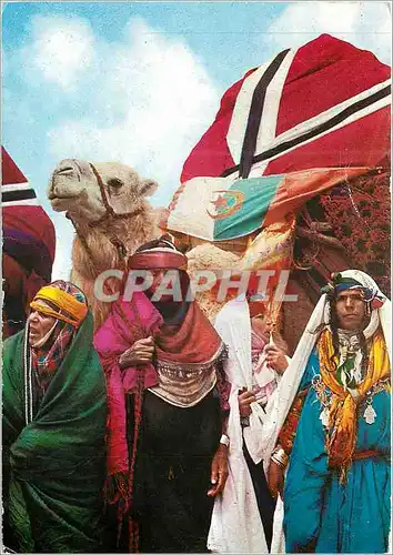 Cartes postales moderne Tunisie Vers l'Orient Femmes Bedouines