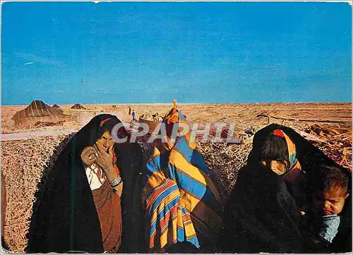 Cartes postales moderne Tunisien Femmes Nomades