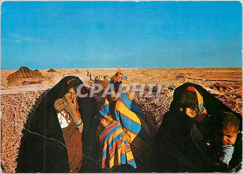 Cartes postales moderne Sud Tunisien Femmes Nomades