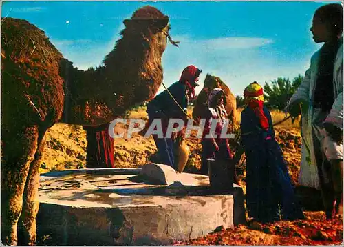 Moderne Karte Tunisie Costumes Bedouins