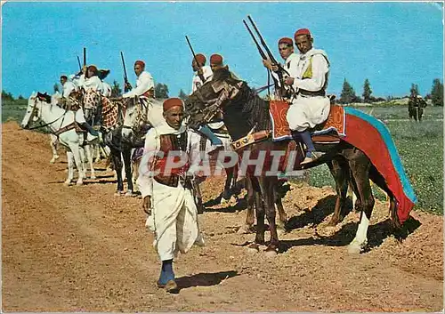 Cartes postales moderne Tunisie Cavaliers Zlass