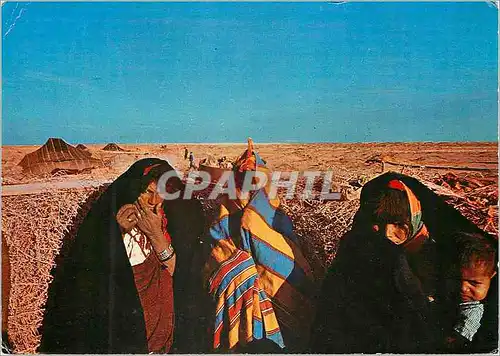 Cartes postales moderne Sud Tunisien Femmes Nomades