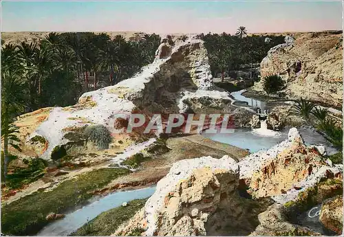 Cartes postales moderne Gabes Ras el Qued