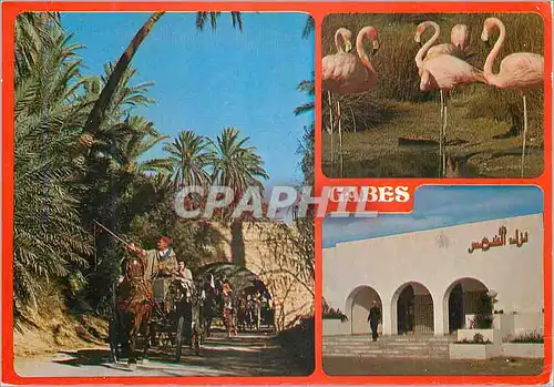 Cartes postales moderne Gabes et l'Hotel Chems