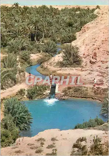 Cartes postales moderne Gabes Chenini