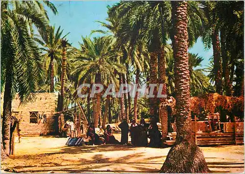 Moderne Karte Tunisie Gabes Scenes Typiques