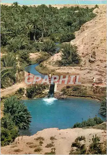 Cartes postales moderne Gabes Chenini