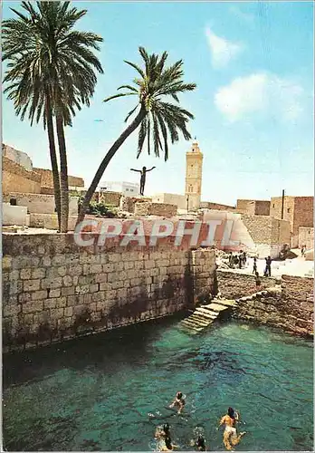 Cartes postales moderne Gafsa La piscine romaine