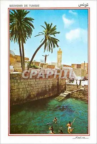 Cartes postales moderne Gafsa La piscine romaine