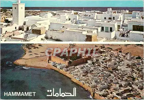 Cartes postales moderne Hammamet La Medina