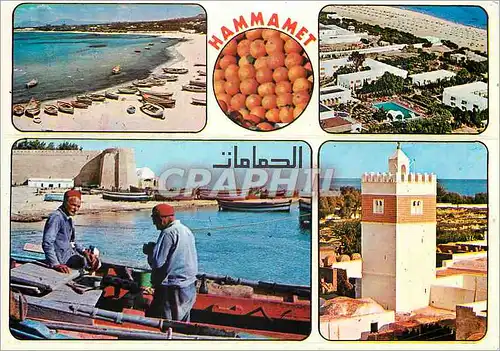 Cartes postales moderne Hammamet
