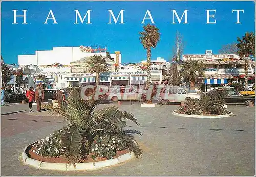 Cartes postales moderne Hammamet