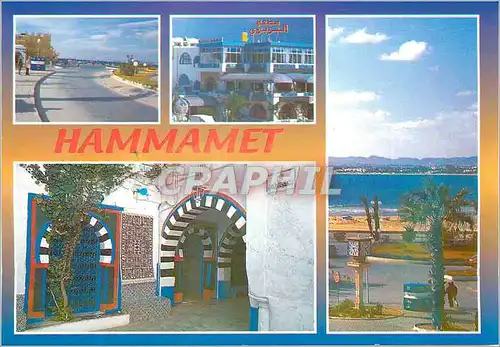 Cartes postales moderne Hammamet