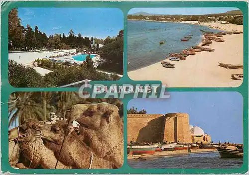 Cartes postales moderne Hammamet