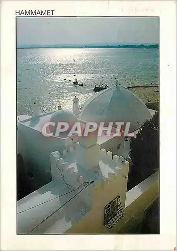 Cartes postales moderne Hammamet
