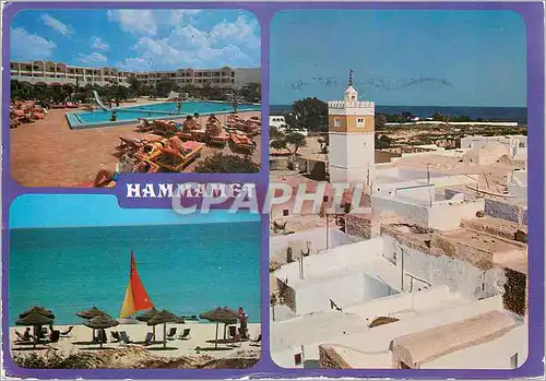 Cartes postales moderne Hammamet