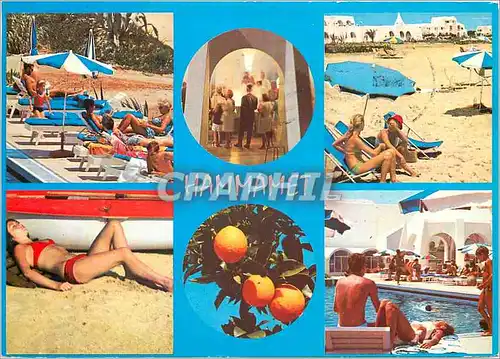 Cartes postales moderne Hammamet Tunisie Vacances au soleil