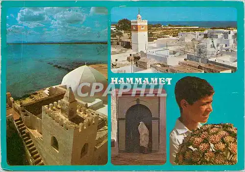 Cartes postales moderne Hammamet