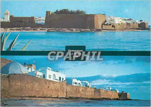 Cartes postales moderne Hammamet La Vieille Ville