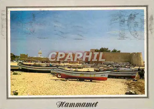 Cartes postales moderne Hammamet Bateaux