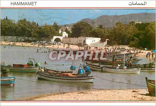 Cartes postales moderne Hammamet Bateaux