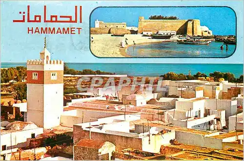 Cartes postales moderne Hammamet