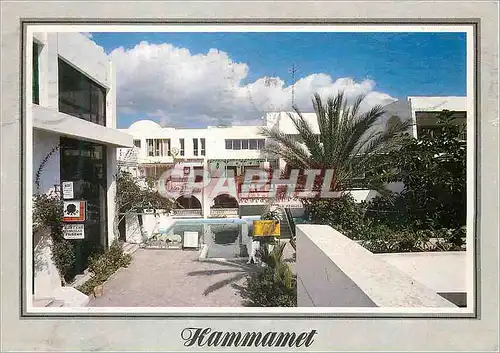 Cartes postales moderne Hammamet