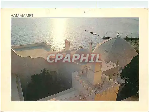 Cartes postales moderne Hammamet