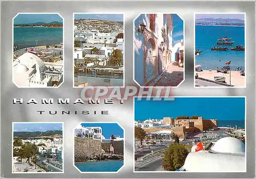 Cartes postales moderne Hammamet Tunisie