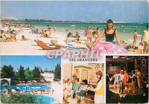 Cartes postales moderne Hotel Les Orangers