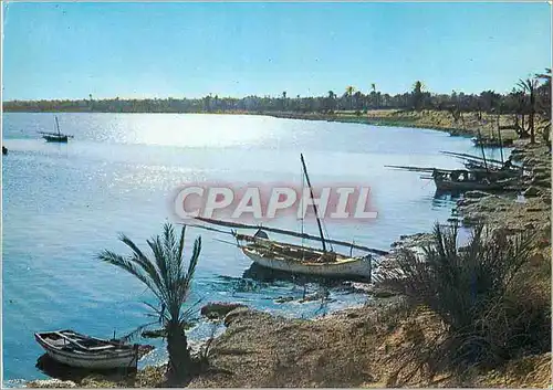 Cartes postales moderne Djerba Zarzis Port de peche