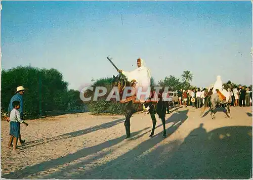 Moderne Karte Jerba cavalier