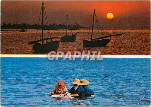 Cartes postales moderne Jerba La mer