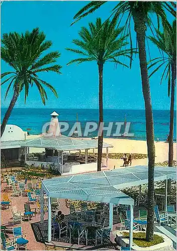 Cartes postales moderne Djerba Tanit Hotel la pergola et le barbecue