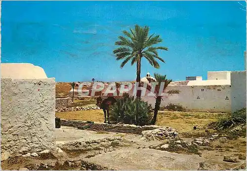 Moderne Karte Ile de Djerba Tunisie Paysage Djerbien
