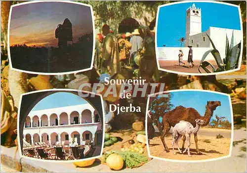 Moderne Karte Souvenir de Djerba Chameau