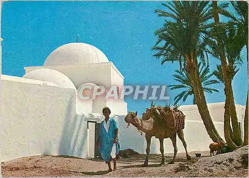 Cartes postales moderne Jerba Tunisie