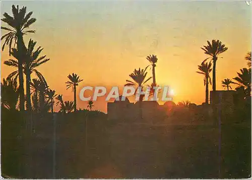 Cartes postales moderne Jerba Tunisie Coucher de soleil