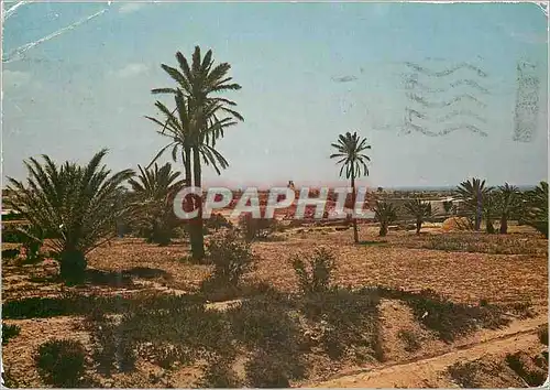 Cartes postales moderne Jerba Tunisie Gallala
