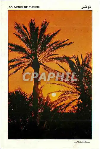 Cartes postales moderne Souvenir de Tunisie