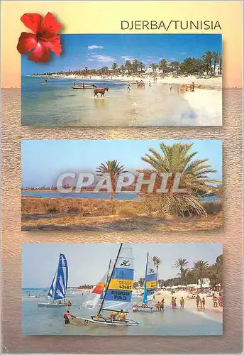 Cartes postales moderne Djerba Tunisia Catamarn