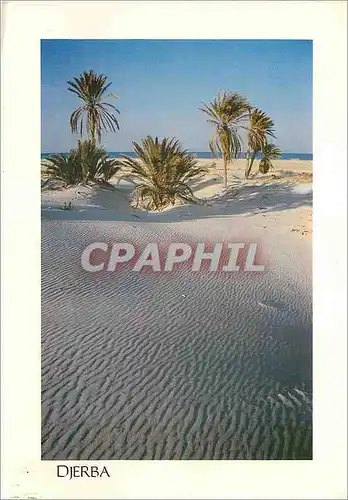 Cartes postales moderne Charmes et douceur de Tunisie