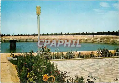 Cartes postales moderne Kairouan Tunisie Bassin des Aglabites