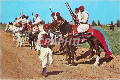 Cartes postales moderne Kairouan Cavaliers Zlass