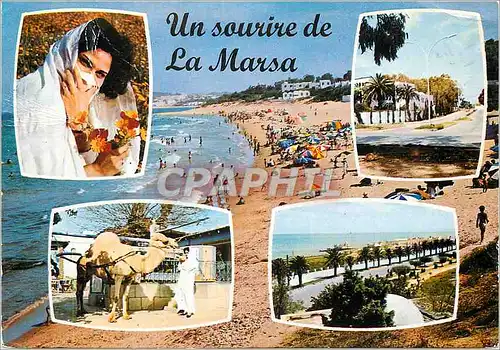 Cartes postales moderne Un sourire de La Marsa Chameau