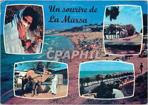Cartes postales moderne Un sourire de La Marsa Chameau