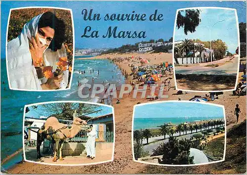 Cartes postales moderne Un sourire de La Marsa Chameau