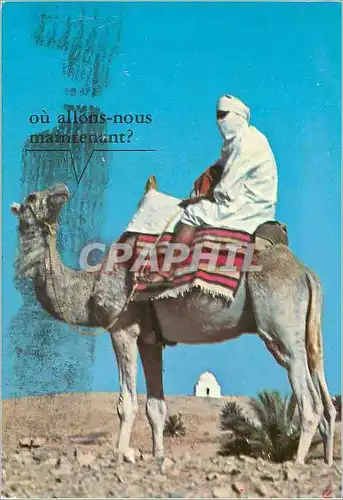 Cartes postales moderne Matmata Le Targui et son Chameau