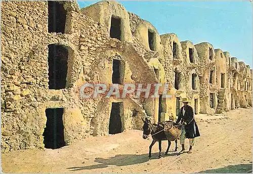 Cartes postales moderne Tunisie Medenine les Ghorfas Ane Donkey