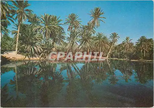 Cartes postales moderne Sud Tunisien Region Kebili Douz